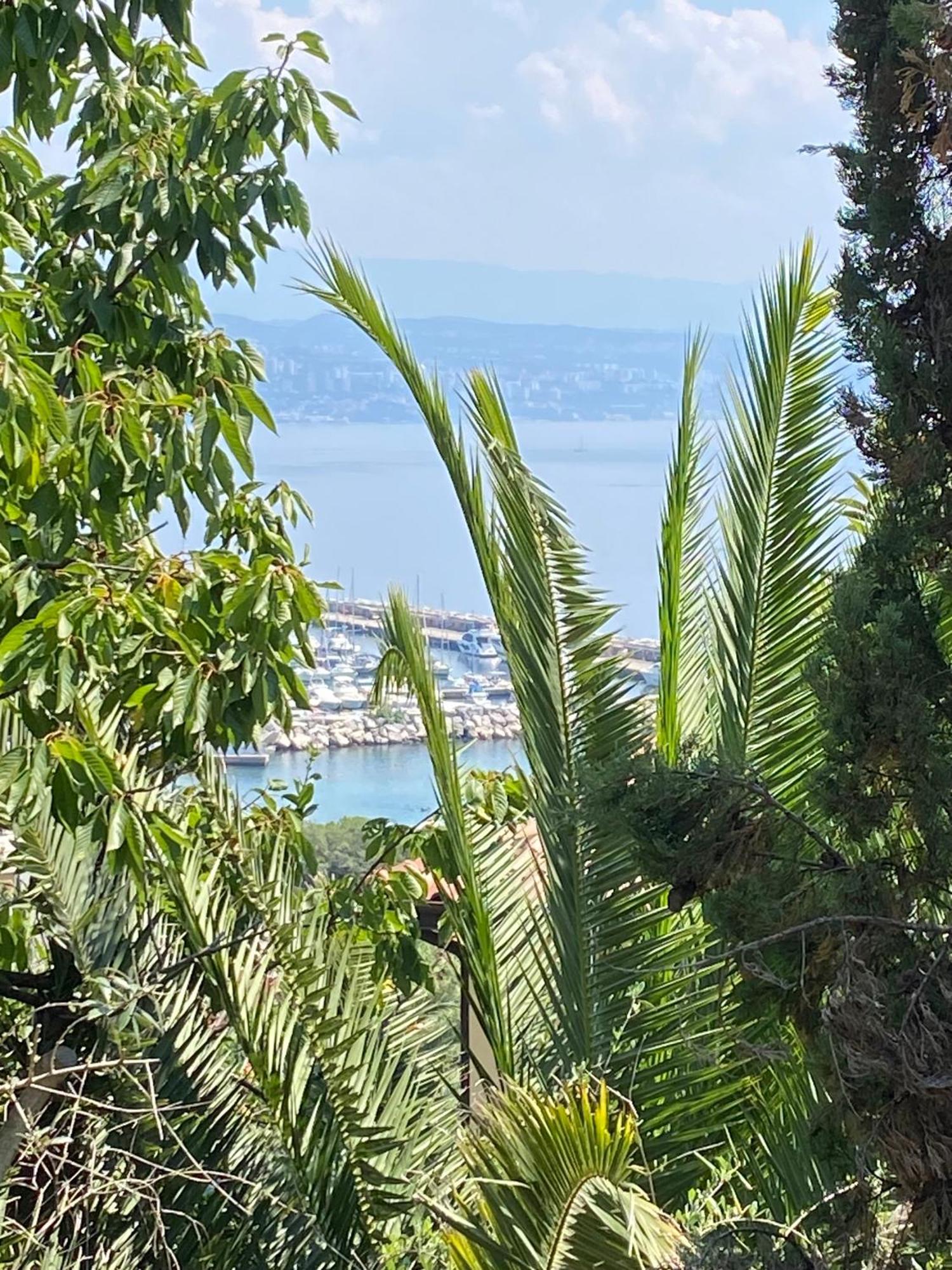 Villa Salyna Ičići Екстериор снимка