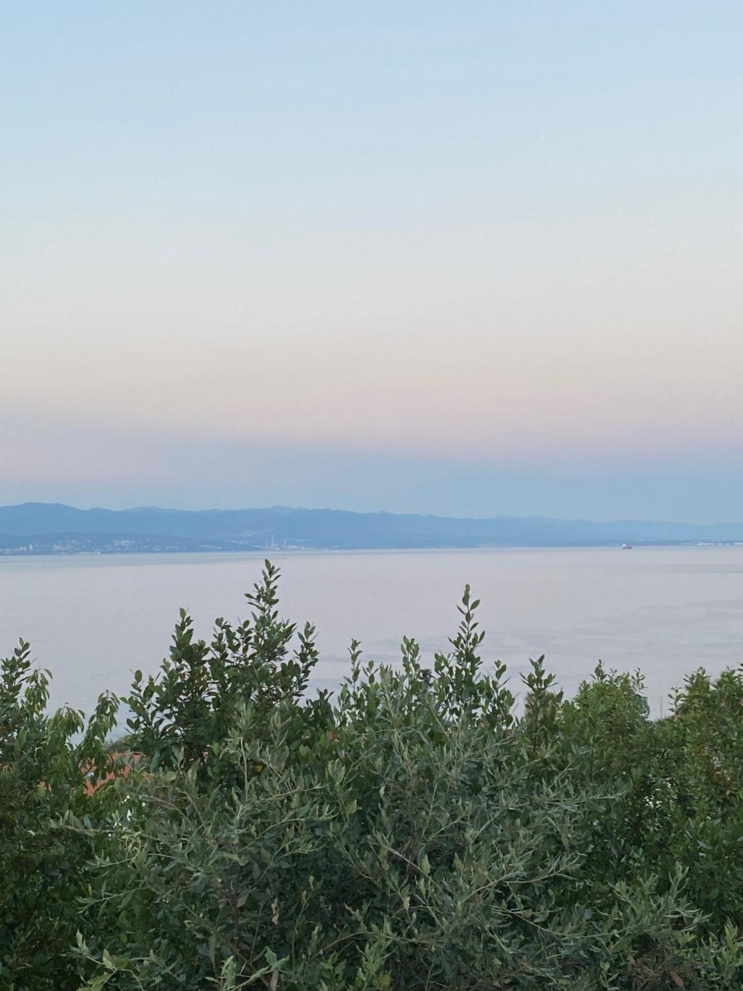 Villa Salyna Ičići Екстериор снимка